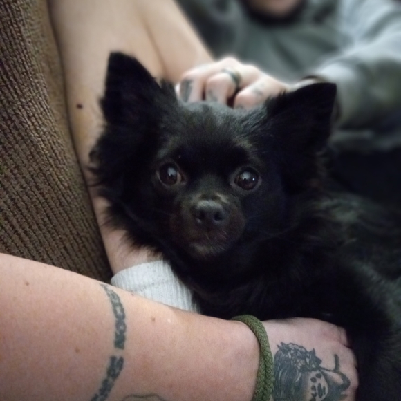 Meet your Posher, Freya EightyEight - Picture 8 of 16